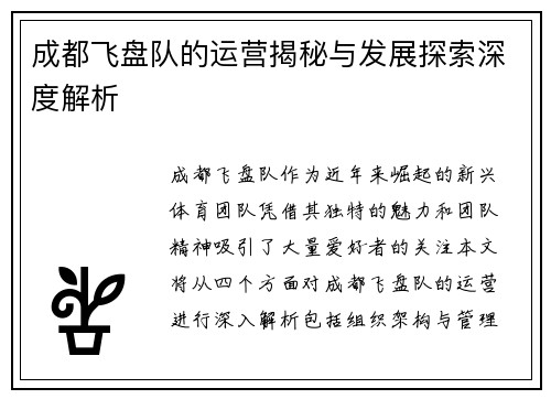成都飞盘队的运营揭秘与发展探索深度解析