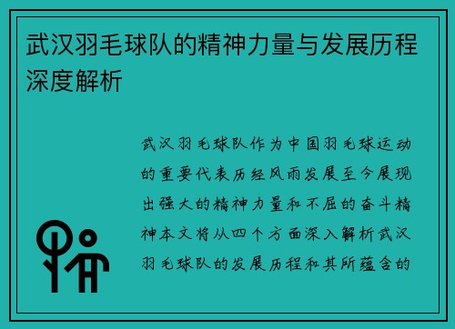 武汉羽毛球队的精神力量与发展历程深度解析
